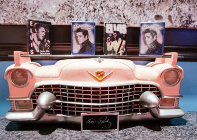 Pink Elvis Presley novelty car grille display